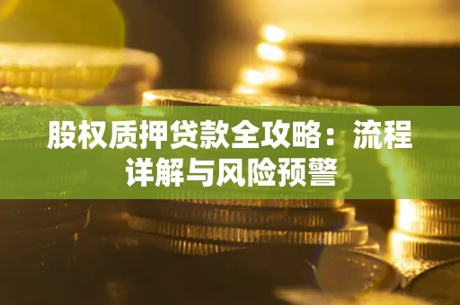 济南股权质押贷款全攻略：流程详解与风险预警
